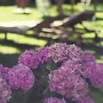 Bed & Breakfast D'hotes Mon Repos Saint-Aubin-sur-Scie
