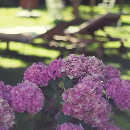 Bed & Breakfast D'hotes Mon Repos Saint-Aubin-sur-Scie