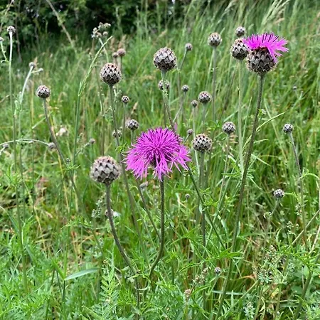 D'hotes Mon Repos Bed & Breakfast Saint-Aubin-sur-Scie