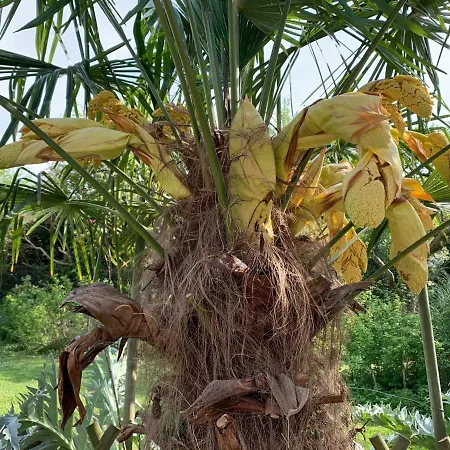 Bed & Breakfast D'hotes Mon Repos