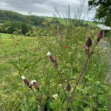 Bed & Breakfast D'hotes Mon Repos Saint-Aubin-sur-Scie