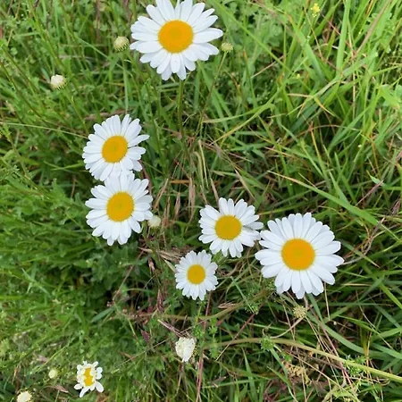 D'hotes Mon Repos 3*