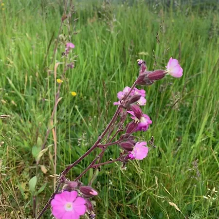 D'hotes Mon Repos 3*