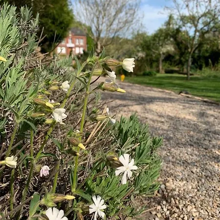 D'hotes Mon Repos 3*