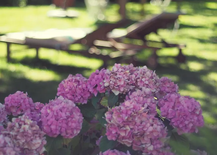 Bed & Breakfast D'hotes Mon Repos Saint-Aubin-sur-Scie