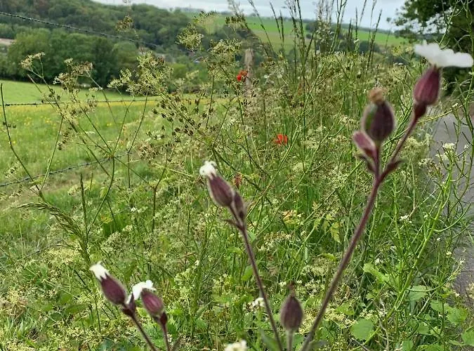 Bed & Breakfast D'hotes Mon Repos Saint-Aubin-sur-Scie