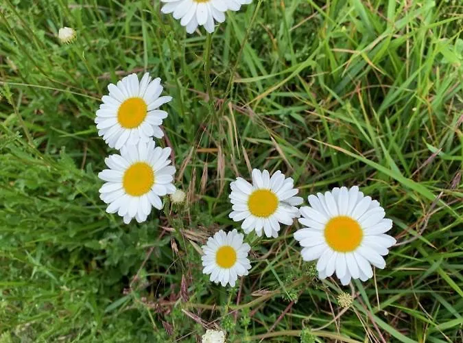 D'hotes Mon Repos 3*