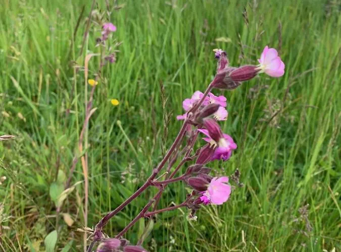 D'hotes Mon Repos 3*